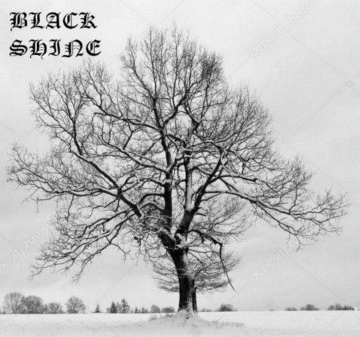 Black Shine : To the Grim Goddess